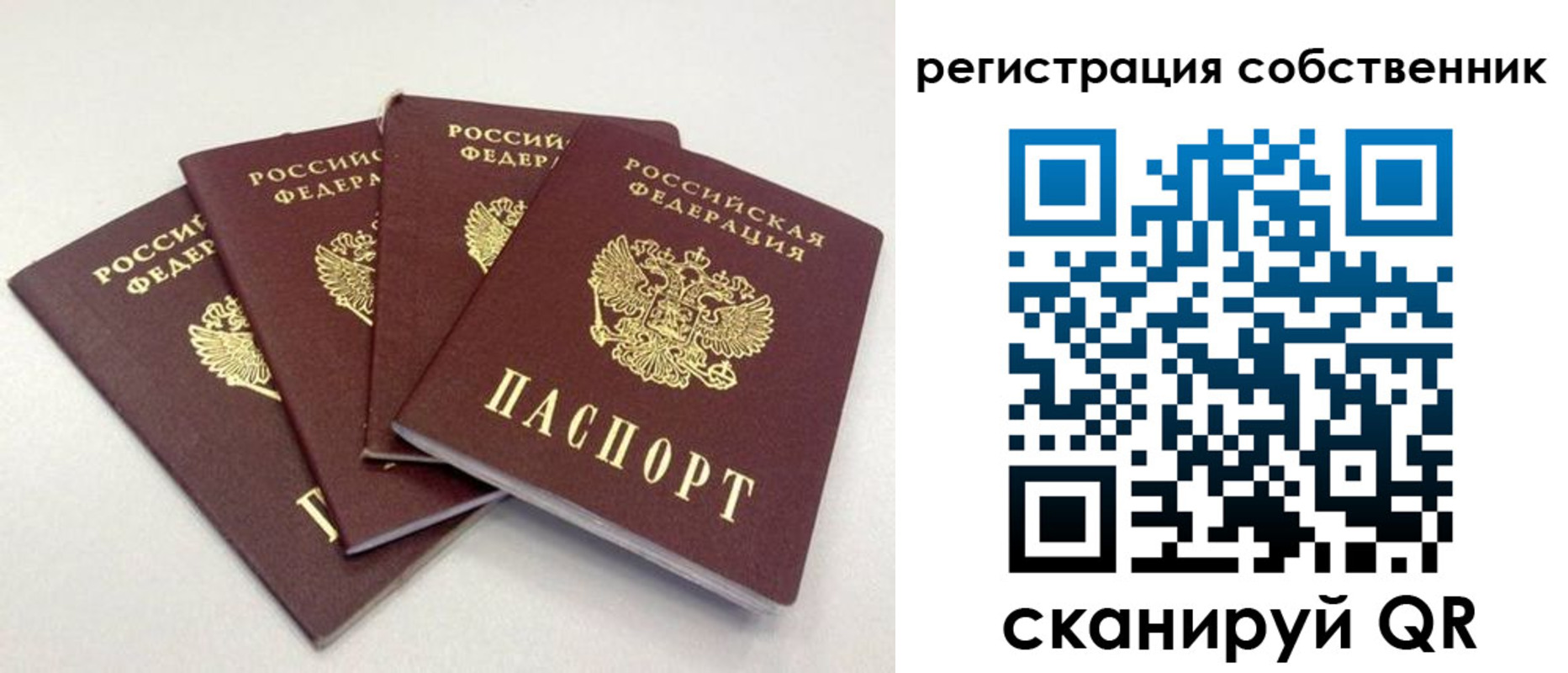 прописка для школы в Черепаново